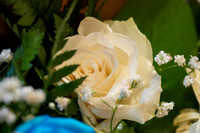 AM00018